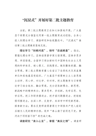 “沉浸式”开展好第二批主题教育.docx