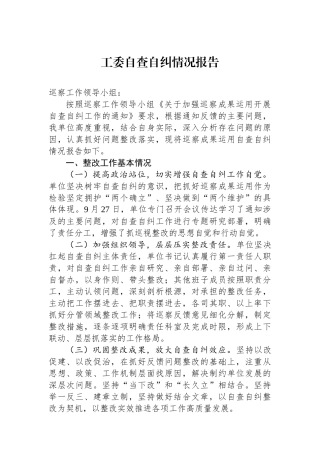 工委自查自纠情况报告.docx