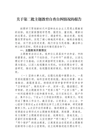 关于第二批主题教育自查自纠情况的报告.docx
