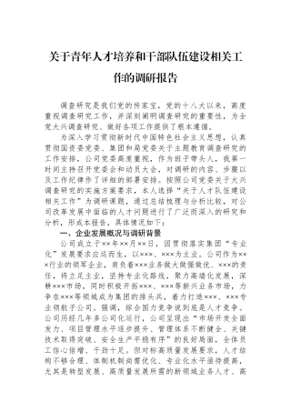 关于青年人才培养和干部队伍建设相关工作的调研报告.docx