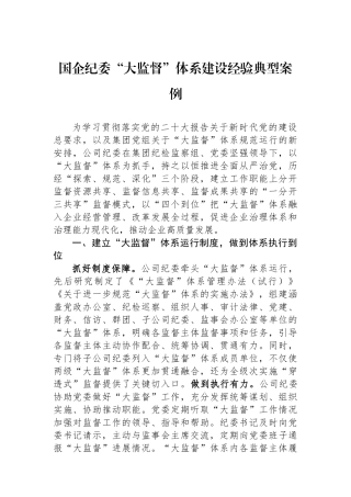 国企纪委“大监督”体系建设经验典型案例.docx