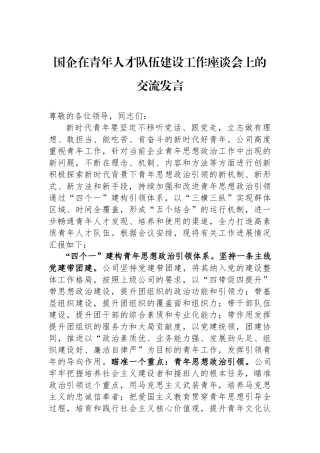 国企在青年人才队伍建设工作座谈会上的交流发言.docx