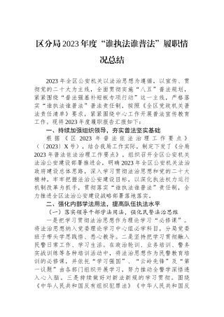 区分局2023年度“谁执法谁普法”履职情况总结.docx