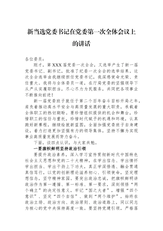 新当选党委书记在党委第一次全体会议上的讲话.docx