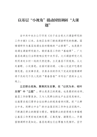 以基层“小视角”撬动国情调研“大课题”.docx