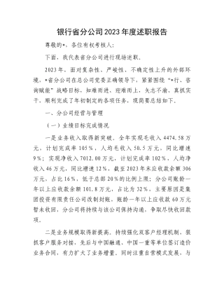 银行省分公司2023年度述职报告 (1).docx