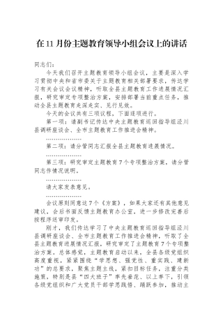 在11月份主题教育领导小组会议上的讲话.docx