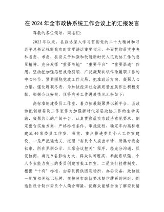 在2024年全市政协系统工作会议上的汇报发言.docx