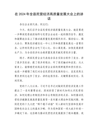 在2024年全县民营经济高质量发展大会上的讲话.docx