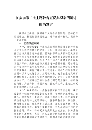在参加第二批主题教育正反典型案例研讨时的发言.docx