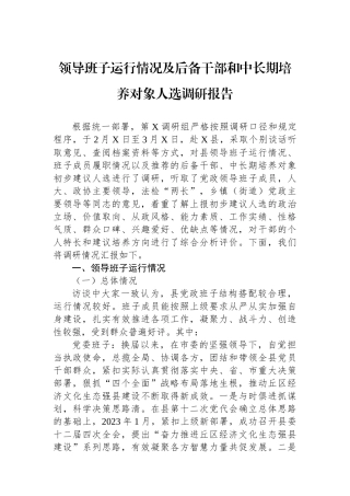 领导班子运行情况及后备干部和中长期培养对象人选调研报告.docx