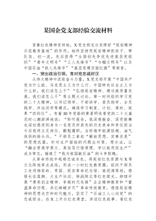 某国企党支部经验交流材料.docx