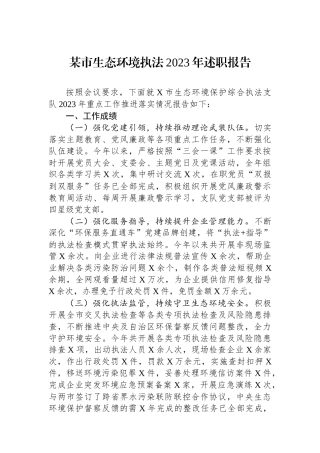 某市生态环境执法2023年述职报告.docx