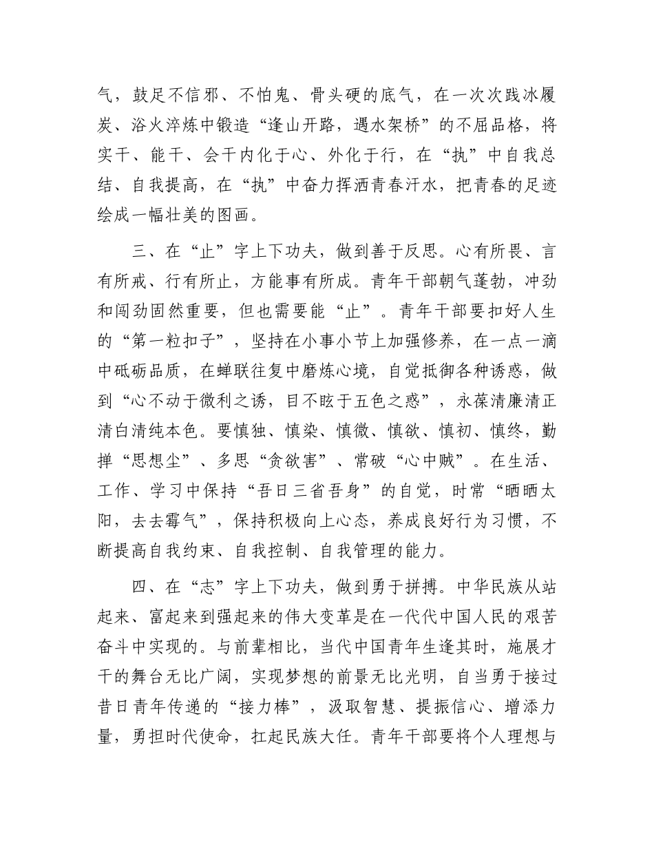 青年干部座谈发言提纲.docx_第2页