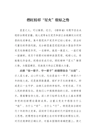 燃旺榜样“星火”燎原之势.docx