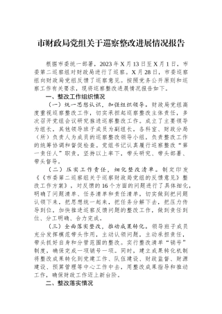 市财政局党组关于巡察整改进展情况报告.docx