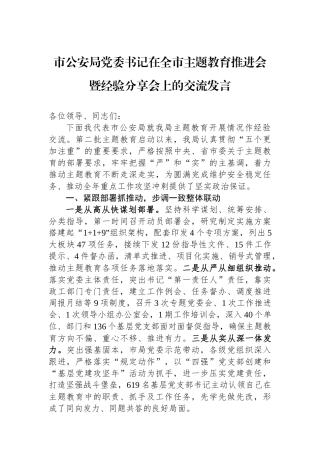 市公安局党委书记在全市主题教育推进会暨经验分享会上的交流发言.docx