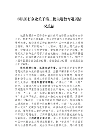 市属国有企业关于第二批主题教育进展情况总结.docx