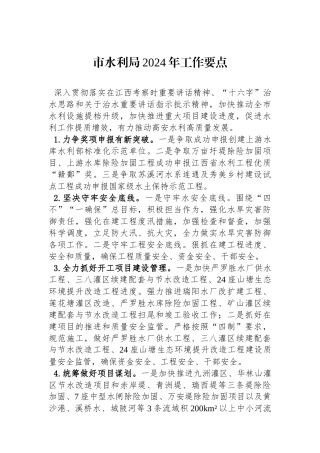 市水利局2024年工作要点.docx