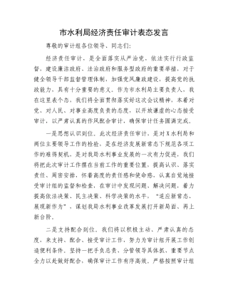 市水利局经济责任审计表态发言.docx