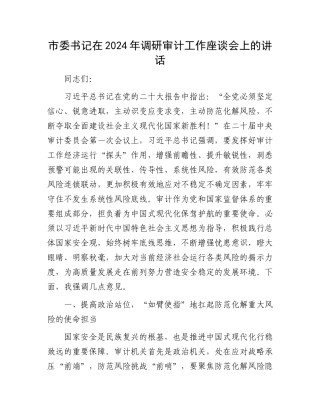 市委书记在2024年调研审计工作座谈会上的讲话.docx