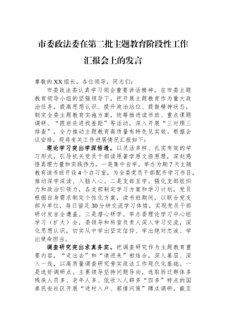 市委政法委在第二批主题教育阶段性工作汇报会上的发言.docx