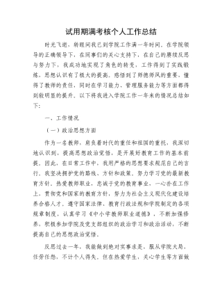 试用期满考核个人工作总结.docx