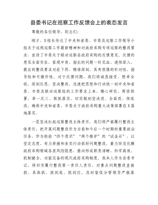县委书记在巡察工作反馈会上的表态发言.docx