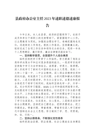 县政府办公室主任2023年述职述德述廉报告.docx