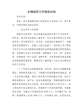 乡镇政府工作报告总结.docx