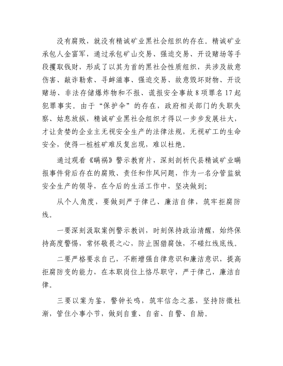 观看警示教育片《瞒祸》心得体会.docx_第2页