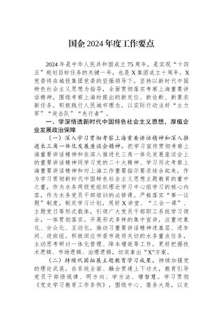 国企2024年度工作要点.docx