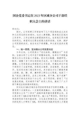 国企党委书记在2023年区域分公司干部任职大会上的讲话.docx
