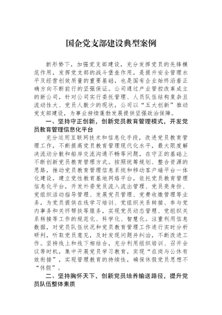 国企党支部建设典型案例.docx