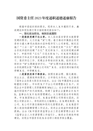 国资委主任2023年度述职述德述廉报告.docx