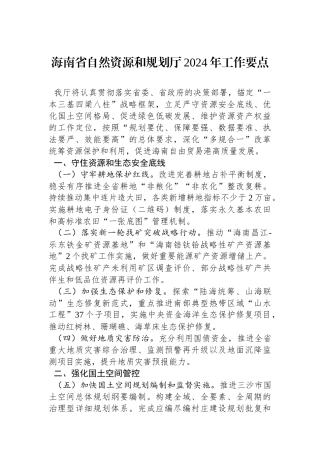 海南省自然资源和规划厅2024年工作要点(20240220).docx
