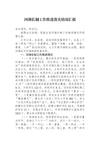 河湖长制工作推进落实情况汇报.docx
