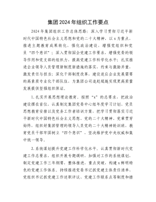 集团2024年组织工作要点.docx