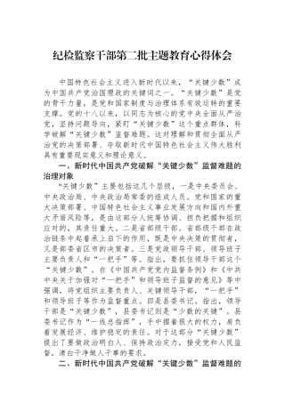纪检监察干部第二批主题教育心得体会.docx