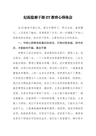 纪检监察干部主题教育心得体会.docx