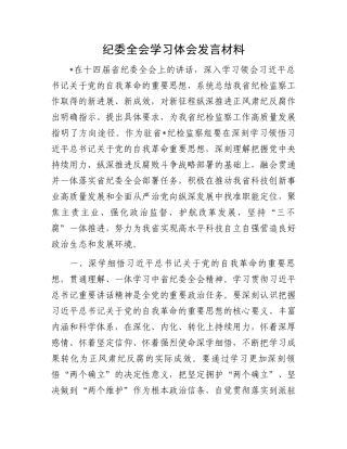 纪委全会学习体会发言材料.docx