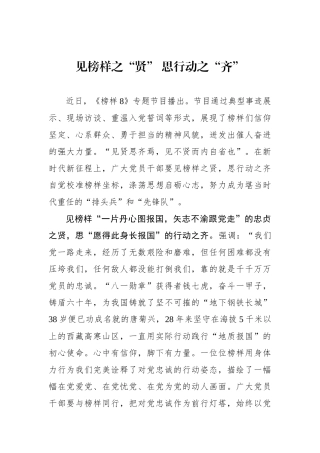 见榜样之“贤” 思行动之“齐”.docx