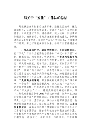 局关于“五化”工作法的总结.docx