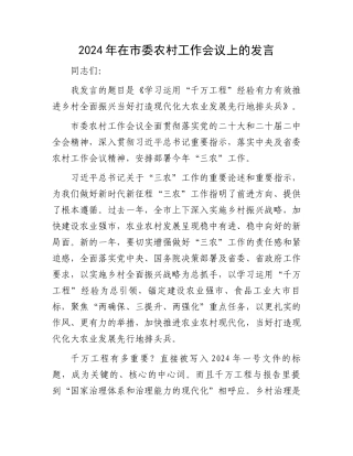 2024年在市委农村工作会议上的发言.docx