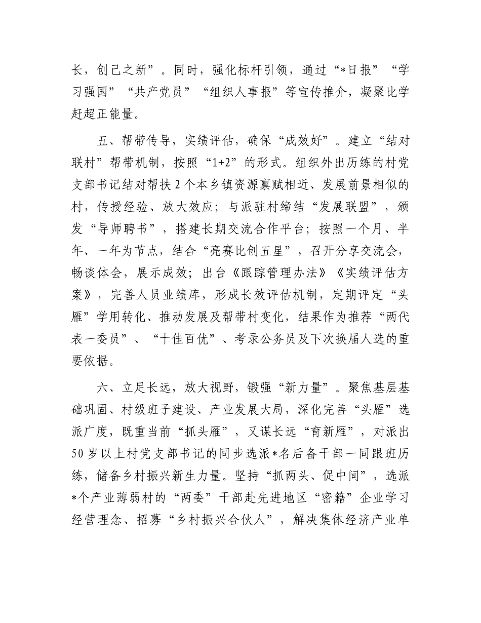 2024年在乡村振兴工作会议上的交流发言.docx_第3页