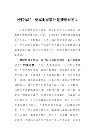 榜样你好：望高山而攀行 逐梦想而无畏.docx