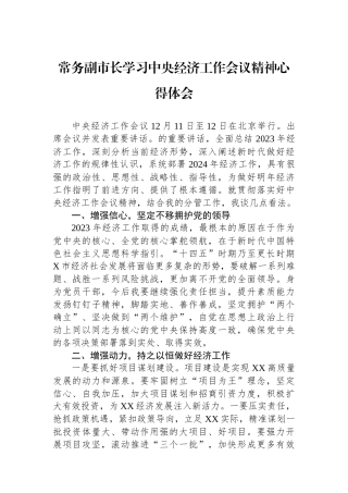 常务副市长学习中央经济工作会议精神心得体会.docx