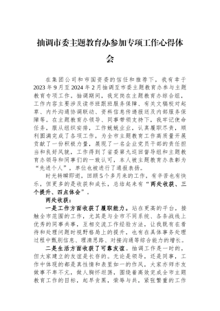 抽调市委主题教育办参加专项工作心得体会.docx