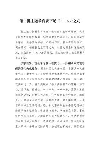 第二批主题教育要下足“1+1＞2”之功.docx