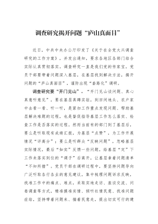 调查研究揭开问题“庐山真面目”.docx